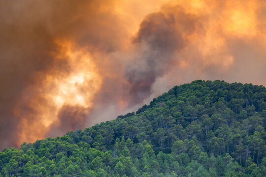 Mediterranean Forest Fire in Spain with Flames, Smoke and Burned Trees, Avila