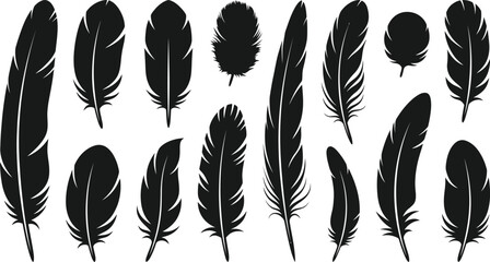 Black feather icons, feather silhouettes, vector feathers, 13 feather graphics © Rifat
