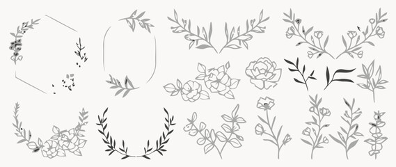 Fototapeta premium Botanical line art frames and floral elements collection