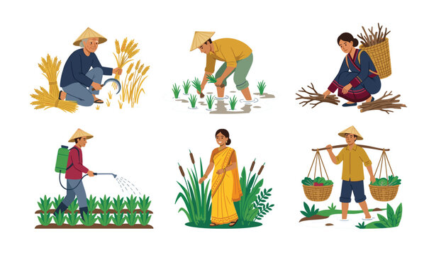Asian farmers harvesting rice crops spraying fertilizer collecting firewood and carrying baskets flat cartoon vector illustrations set