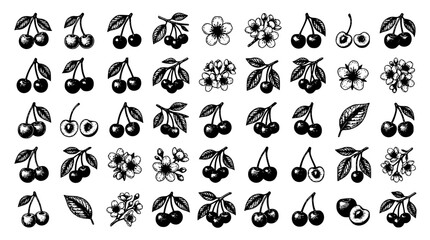 Vintage cherry and orchard berry vector illustration mega set featuring detailed woodcut etching engraving style farm garden blossom harvest elements © Kulsum