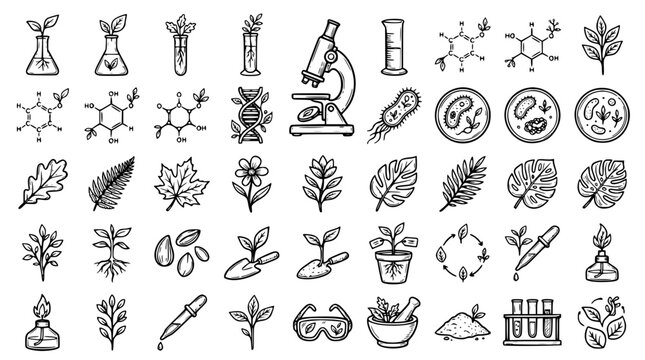 Biology research and science laboratory doodle vector set with microscope plant cells chemical formula flask and botany experiment icons
