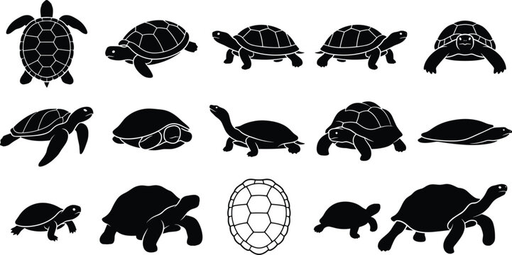Turtle and Tortoise Silhouette Vector Set of Marine and Land Reptiles for Nature Wildlife Design
