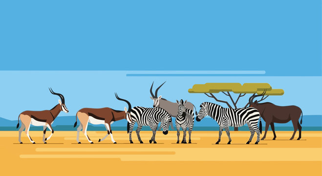 African Wildlife A Group of Zebras and Antelopes in the Savannah.
