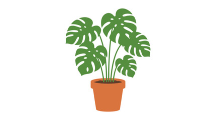 Fototapeta premium Monstera plant in terracotta pot flat vector illustration on white background