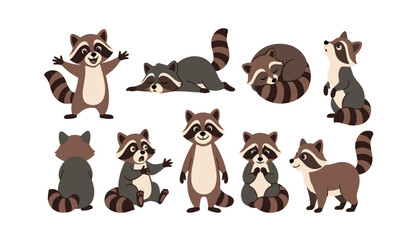 Fototapeta premium Cute cartoon raccoon characters set sleeping sitting looking up walking standing and showing back view flat vector illustration