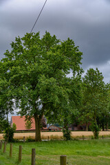 Coesfeld, North Rhine-Westphalia, Germany – July 13, 2026 – A lush green tree stands in front of a golden crop field with red-roofed farm buildings under a dramatic cloudy sky. © SK