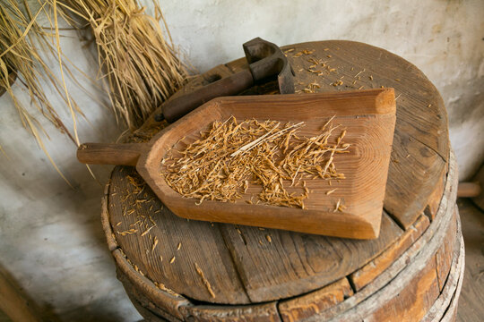 Grain Scoop with Wheat