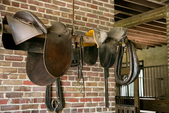 Saddles Hanging on Brick Wall