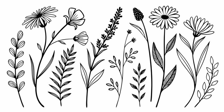 Black and white line wildflowers in meadow line black and white