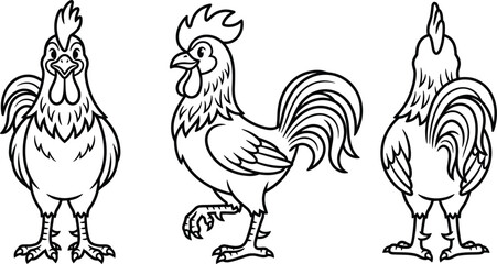 Rooster Character Turnaround Line Art Set with Front, Side, and Back Views for Animation Blueprints, Coloring Pages, and Farmhouse Graphic Designs © BijoyChandra