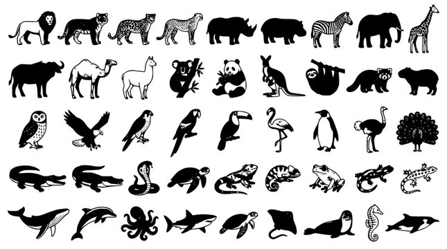 Wild animals birds reptiles and marine sea life icon collection featuring black solid silhouettes and hand drawn vector illustrations