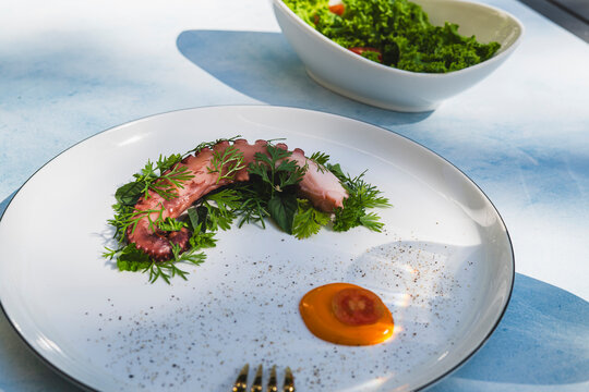Grilled octopus