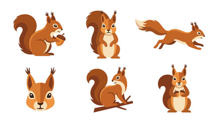 Fototapeta premium Squirrel Illustrations A Collection Of Vector Graphics In Various Poses