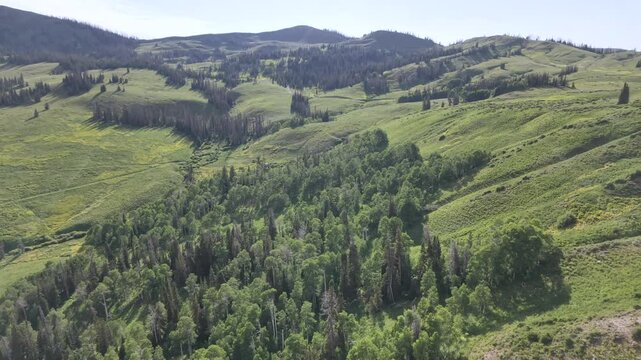 Lush Green Hills and Forests in a Scenic Landscape