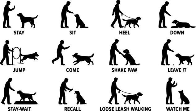 Dog trainer silhouette set, obedience training, pet behavior instruction and canine handling activities isolated on white background