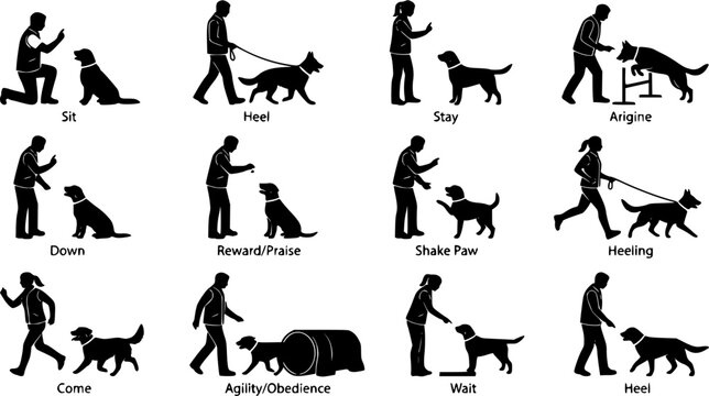 Dog trainer silhouette set, obedience training, pet behavior instruction and canine handling activities isolated on white background