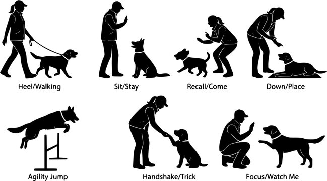 Dog trainer silhouette set, obedience training, pet behavior instruction and canine handling activities isolated on white background