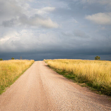 dirt road in Nebraska prairie with dark stormy sky