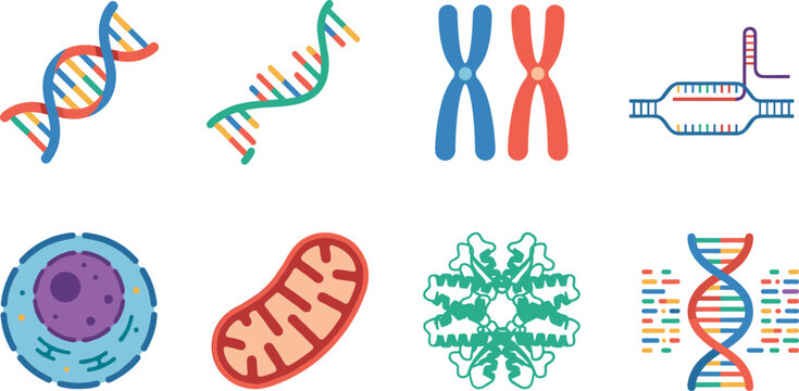 Molecular Genetics Icon Set with DNA RNA Chromosomes Cell Mitochondria and Gene Analysis