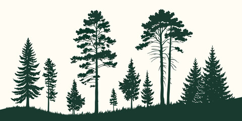 Black silhouette of pine trees on white background, forest scene © AX