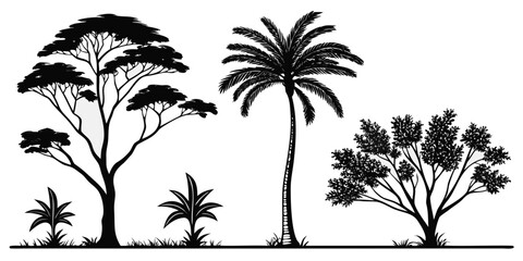 Set of 13 tropical trees on white background, black and white © AX