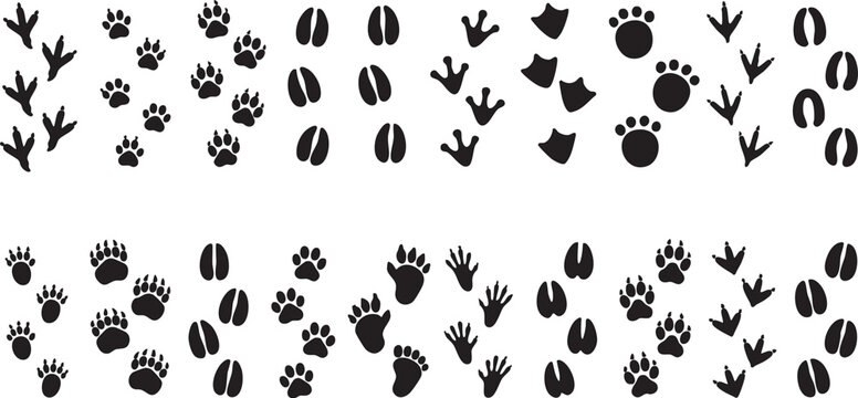 Vector animal footprints illustration with various paw prints and claws on white background for design and graphic use