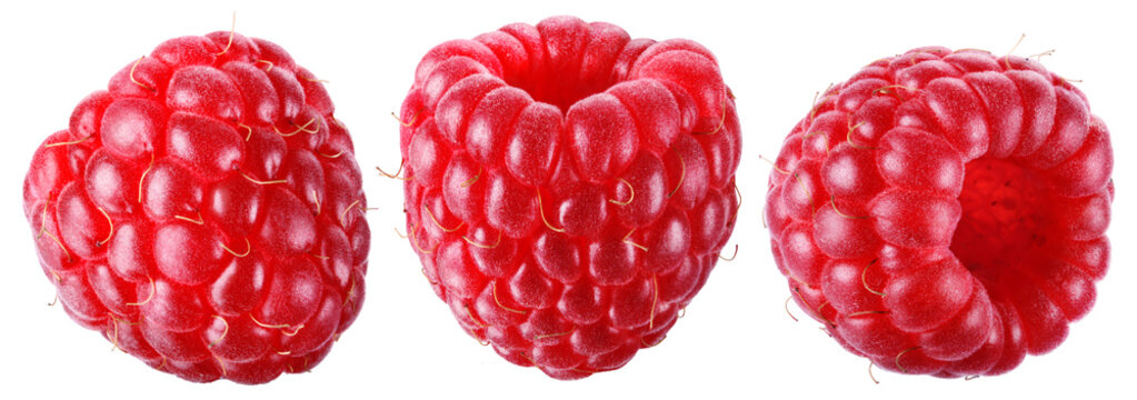 Trio of juicy ripe raspberries isolated on transparent background.
