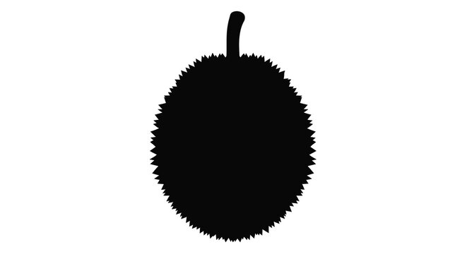 Durian fruit silhouette against a white background silhouette