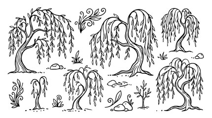 Obraz premium Hand drawn doodle vector mega pack of willow tree illustrations featuring hanging willow branches, flowing foliage, curved trunks, woodland nature elements isolated on white background