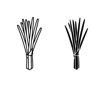 Lemongrass Stalks Vector Icon Set, Fresh Culinary Herb Bundle, Organic Ingredient Illustration
