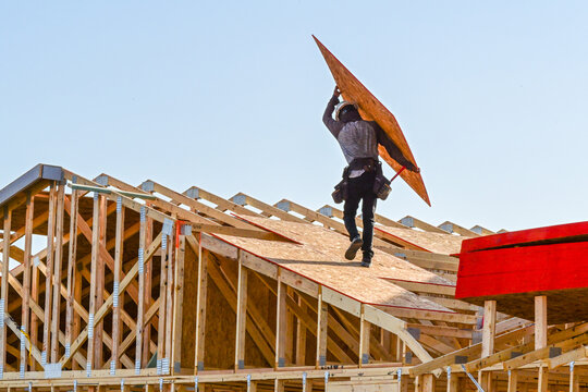 Construction worker carrying an OSB roof sheathing panel on the roof of a two story single family home under construction, representing residential framing, material handling, and housing development