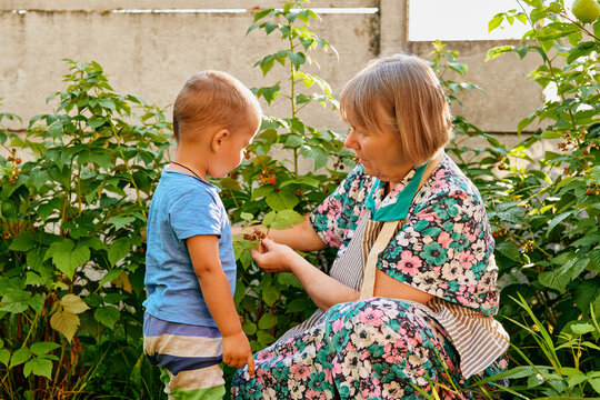 Elderly woman kneels in garden showing small boy different plants while he listens with interest. They are surrounded by green foliage