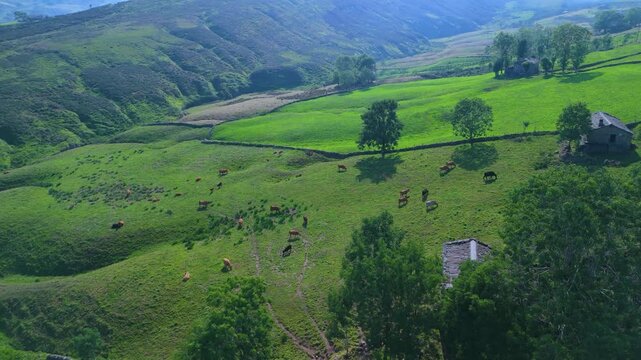 Aerial view from a drone of the winter landscape around the village of Vega de Pas. Pasiegos Valleys region, Cantabria, Spain, Europe