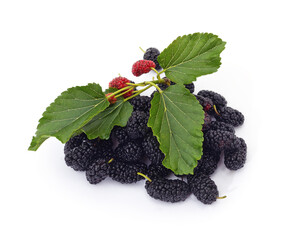 Heap of black mulberry berries with green leaves isolated on a white background. © ANASTASIIA