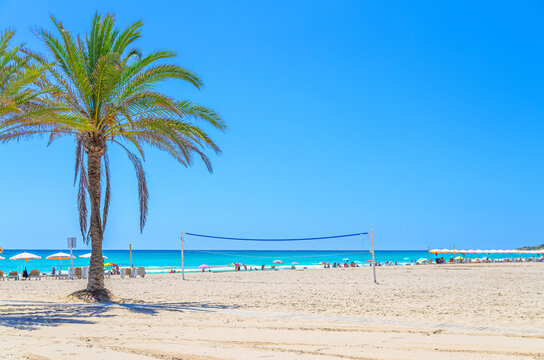 Playa de San Juan beach in Alicante city, palm trees and sports area volleyball court with volleyball net on sandy beach of Mediterranean Sea coast Costa Blanca coastline in sunny summer day, Spain