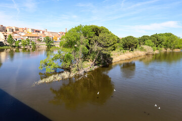 Fototapeta premium The Duero River as it flows through Zamora on a sunny day of winter