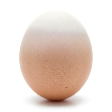 A close-up view of a speckled brown ostrich egg resting on a plain background