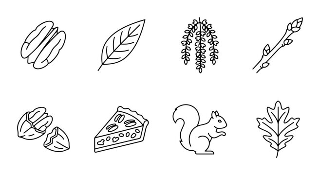 Nature Icons Set: Pecans, Leaves, Wisteria, Buds, Squirrel, Oak Leaf, Pie Slice Vector Graphics