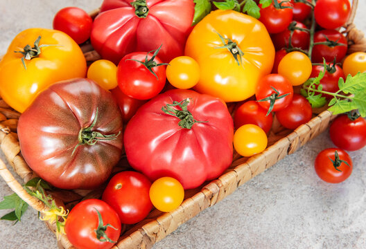Heirloom tomatoes in a basket showing harvest variety