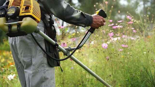 Worker guides weed trimmer through wildflower meadow. Hands grip handle firmly, controlling motion. Green grass and pink blooms surround cutting path. Tool emits steady sound, indicating active use