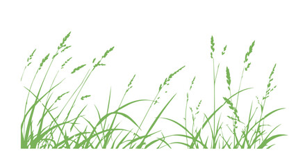 Obraz premium Grass green silhouette vector isolated on white background nature design illustration of grass plant pattern greenery artwork Hand drawn. Not AI, vector illustration.
