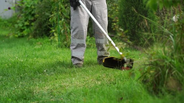 Person cuts tall grass with a grass trimmer. Green blades slice through dense vegetation. Grass trimmer moves steadily across garden area. Framer focuses on lower body and tool action