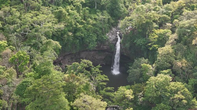 Running waterfall in tropical jungle aerial drone view Central America