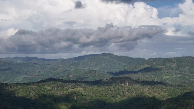 Green forest under clouds shade landscape aerial drone view
