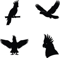 Fototapeta premium Cockatoo Silhouettes in Flying, Perched, Landing, and Crest-Raised Poses