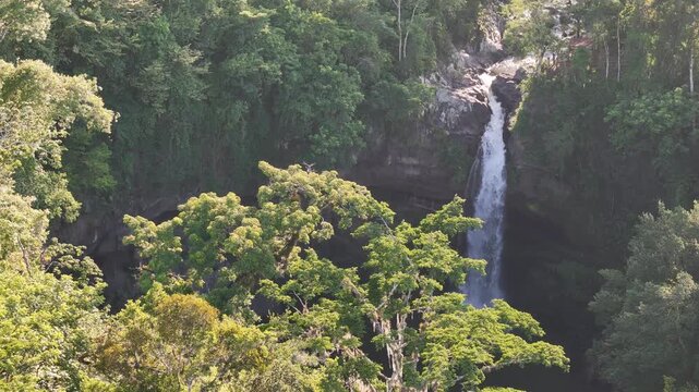 Tropical forest with waterfall in sun light of sunset aerial drone view