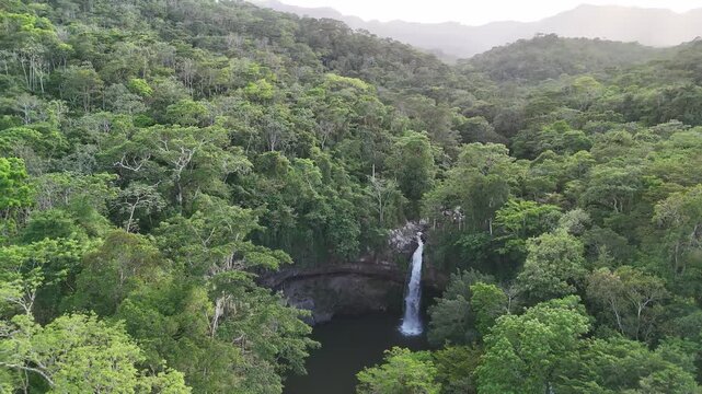 Tall waterfall in green tropical jungle forest aerial drone view