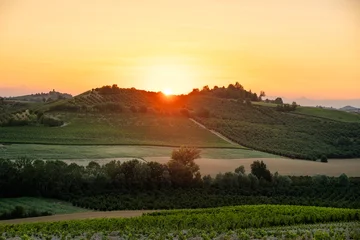 Sunset Over Vineyards and Rolling Hills in Piedmont, Italy During Summer © schame87