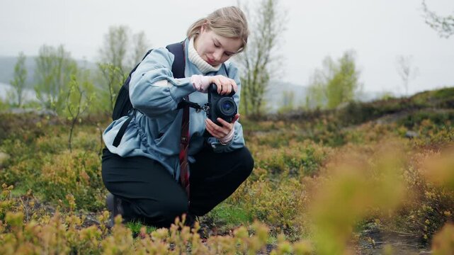 A young blonde woman in blue jacket kneels in the foreground of a low scrub moorland, looking down at a compact camera held in both hands. Professional wildlife photography on a cloudy summer day